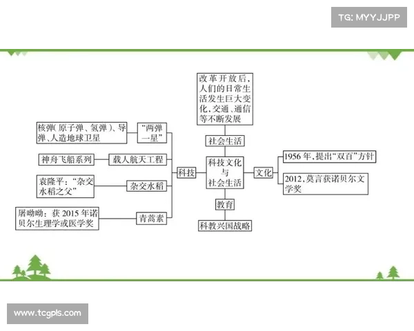 从古至今:文化与社会变迁中的历史进程与人类发展轨迹分析 从古至今:文化与社会变迁中的历史进程与人类发展轨迹分析