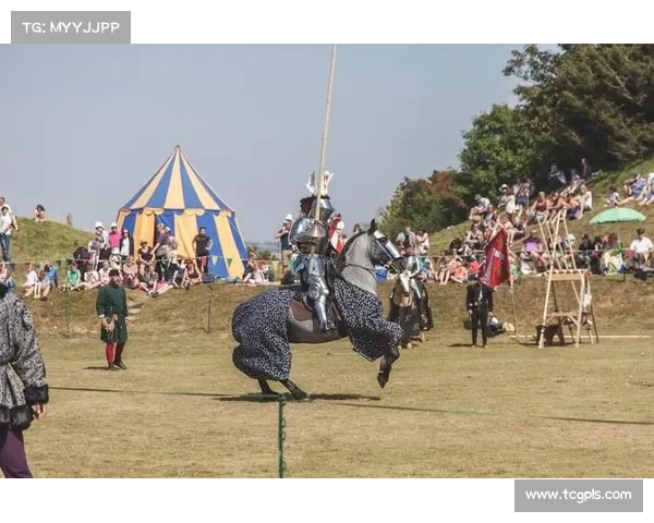 梦幻比武大会英雄巅峰对决精彩分析及战术策略探讨 梦幻比武大会英雄巅峰对决精彩分析及战术策略探讨